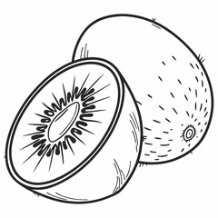 illustration of kiwi fruit