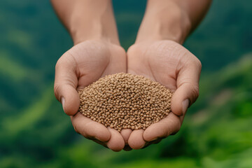 Freshly harvested seeds held in hands, symbolizing growth and agriculture