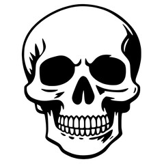 Medical Diagram of Skull Vector