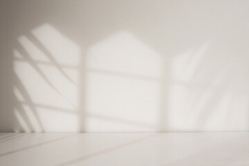 minimalist interior with natural shadow and light
