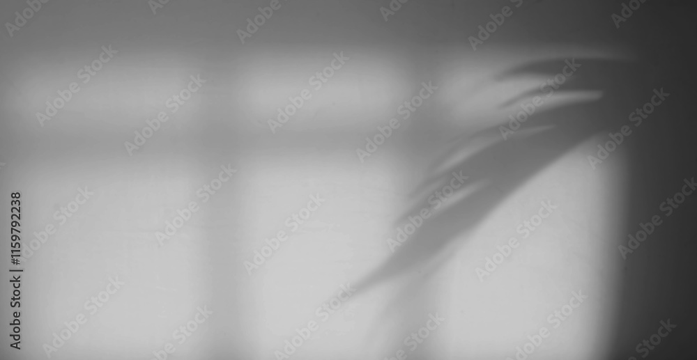 Poster minimalist window and palm shadow overlay