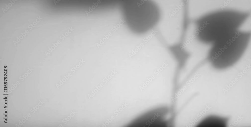 Poster leaf shadow overlay background design