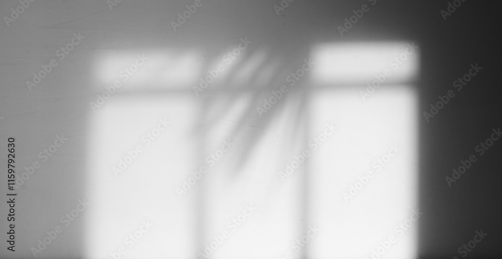 Poster minimalist window and palm shadow overlay