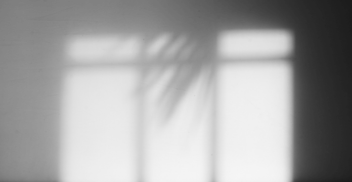 minimalist window and palm shadow overlay