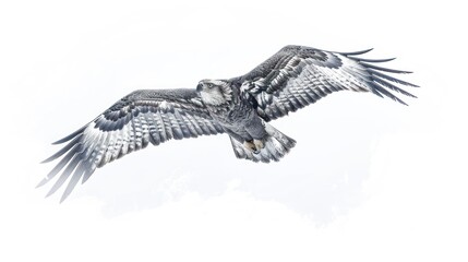 Majestic eagle in flight against a blurred mountain backdrop.