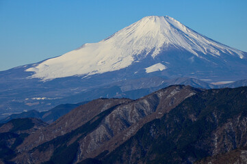 厳冬の富士山を望む　丹沢山地の三ノ塔から
