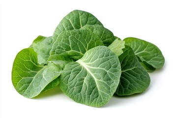 Fototapeta premium fresh napa cabbage on a white background