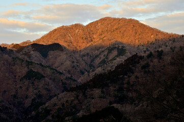 丹沢の檜洞丸より　朝焼けに染まる畦ヶ丸の頂
