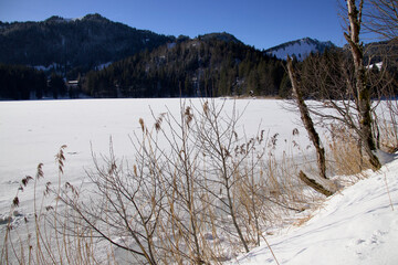 Ufer an einem See im Winter mit Schnee und Berge im Hintergrund