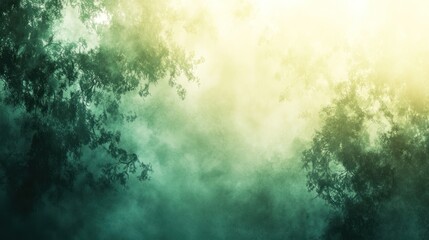 Obraz premium Misty forest scene with sunlit canopy.