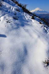 丹沢山地の檜洞丸より　厳冬の富士山と稜線に積もる雪
