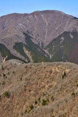 山梨百名山の大室山と丹沢主稜の縦走路　西丹沢の大笄より望む
