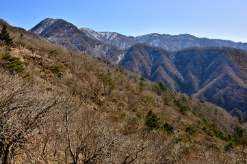 丹沢　大室山の犬越路より　雪稜の丹沢主稜と石棚山稜

