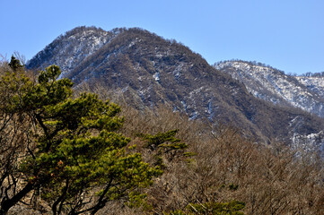 丹沢　大室山の犬越路より眺める雪稜の大笄と檜洞丸
