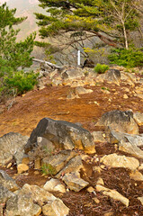 丹沢の秋葉山山頂　朝日の頂に四等三角点（秋葉山）
