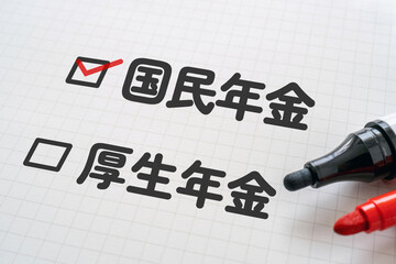 国民年金を選択するのイメージ