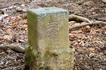 丹沢の鳥ノ胸山山頂　三等三角点（鳥ノ胸）
