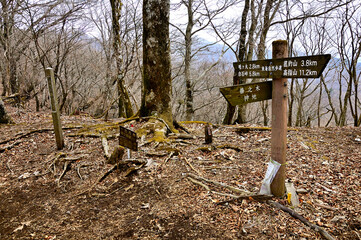 丹沢の甲相国境尾根　城ヶ尾山の城ヶ尾峠
