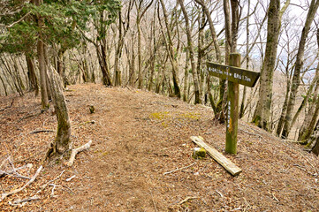 丹沢の甲相国境尾根　ブナ沢ノ頭山頂
