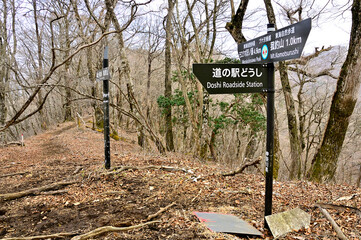 丹沢の甲相国境尾根　菰釣山のブナ沢乗越の峠
