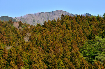 丹沢　山梨百名山の鳥ノ胸山
