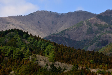 道志山塊　今倉山と平沢ノ頭
