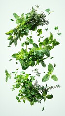 Obraz premium Fresh herbs like mint, parsley, and rosemary floating in mid-air, captured in realistic detail against a white background. 