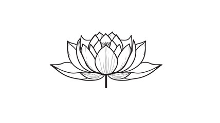 Obraz premium Lotus Flower Drawing Vector