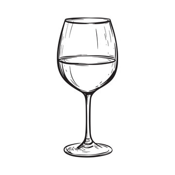 Vector Hand drawn wine glass illustration. 