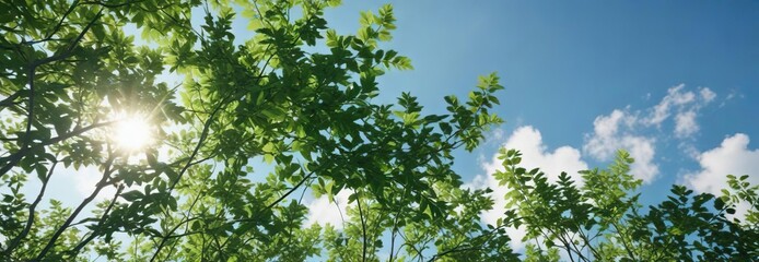 Obraz premium vibrant green leaves scattered across a cloudless blue sky , outdoor scene, natural scenery,