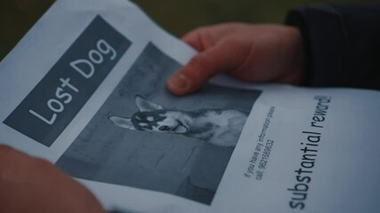 Man looking for a missing pet, posting posters on trees in the park. Missing dog banner. Male hangs up an advertisement for the search for dog. Lost puppy reward message poster. Home pet search.