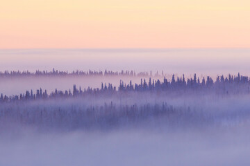 Fototapeta premium Snowy landscape with mist on a cold winter evening after sunset in Riisitunturi National Park, Northern Finland 
