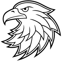 eagle head vector illustration