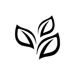 Fototapeta premium vector images of leaves and the like