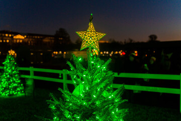 christmas tree in the night