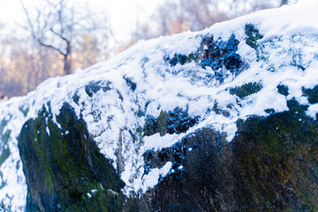 snow covered a rock in central park
