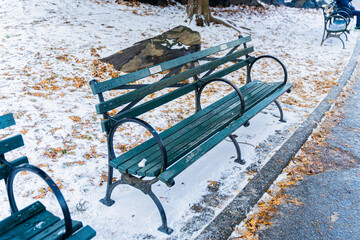 bench in the park central park new york