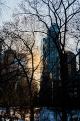 sunset in the park New York City