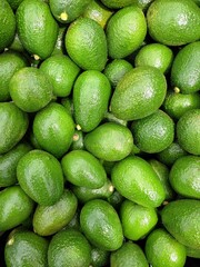 many Hass avocados harvested for export. Harvested greens for packing