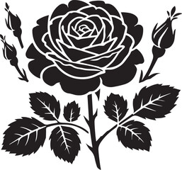 Black and white rose vector