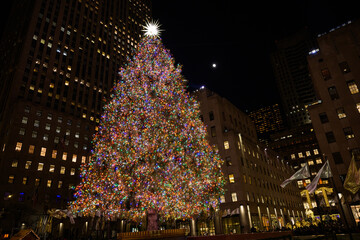 Rockefeller Christmas Tree in New York City with giant star