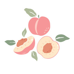 Set of pink peaches vector with leaves. Half, slice and whole shape of peach, nectarine, apricot. Flat design of peaches illustration for fabric, paper, wallpaper, cover, decoration.