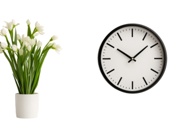 A white flower pot with white flowers sits next to a black clock with the hands