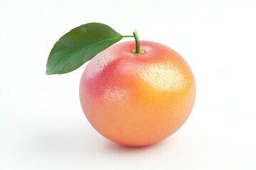 Grapefruit isolated on white background 