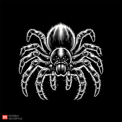 Detailed Illustration of Black and White Tarantula Spider on Dark Background