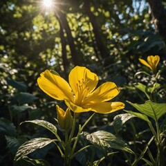 Fototapeta premium A brilliant yellow jungle flower blooming under dappled sunlight.