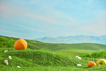 The photograph of a hill scene with a green lawn, was taken from front view. Blank space on grass...