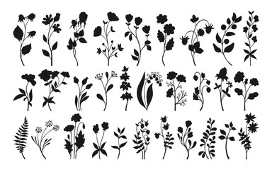 Floral branch silhouette with flowers and berries rustic set. Hand drawn folk botanical herbal illustration art for logo, tattoo, wedding invitation. Rural abstract shape drawing vector design element