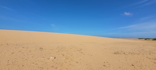 Naturaleza: cielo y desierto en unión universal