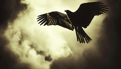 Obraz premium Majestic hawk silhouetted against a dramatic, cloudy sky. A powerful image representing freedom, strength, and the wild.